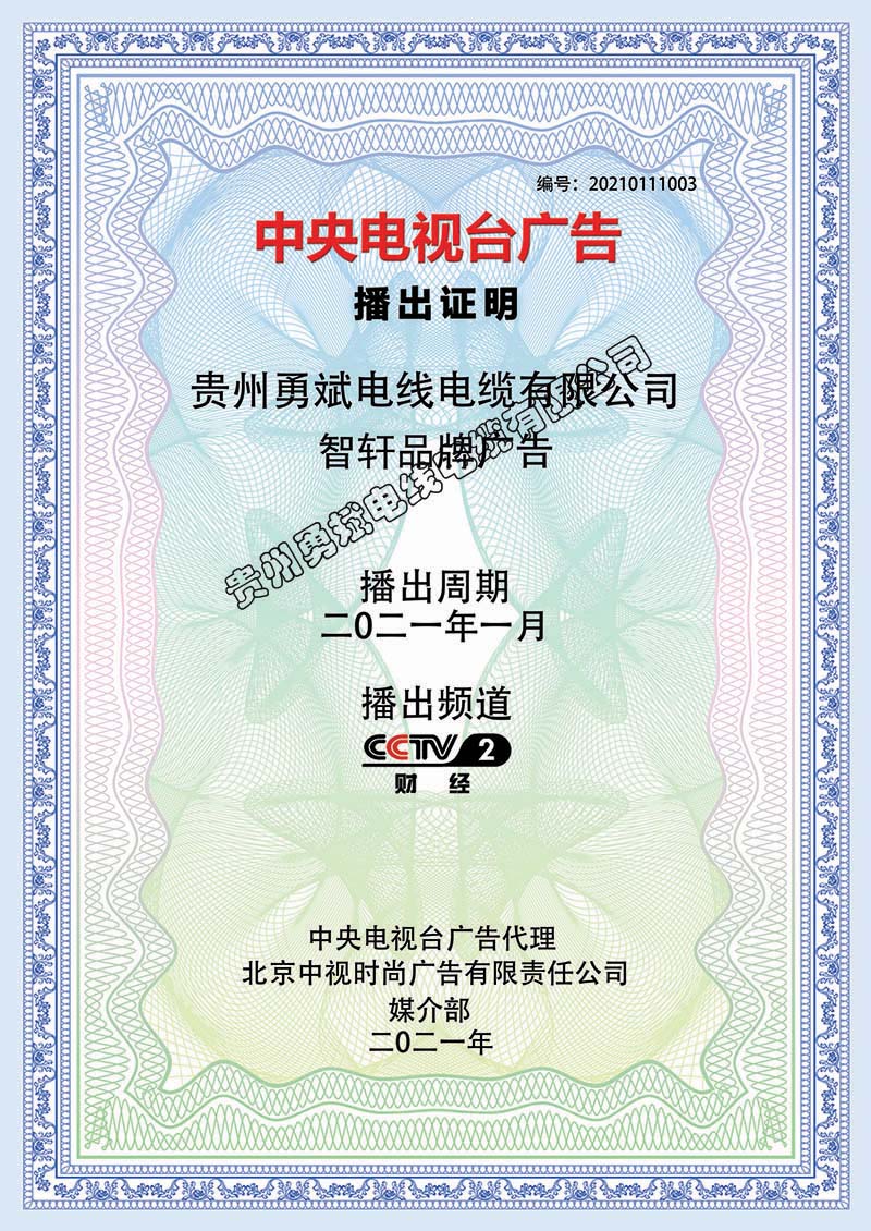 中央电视台广告播出证明